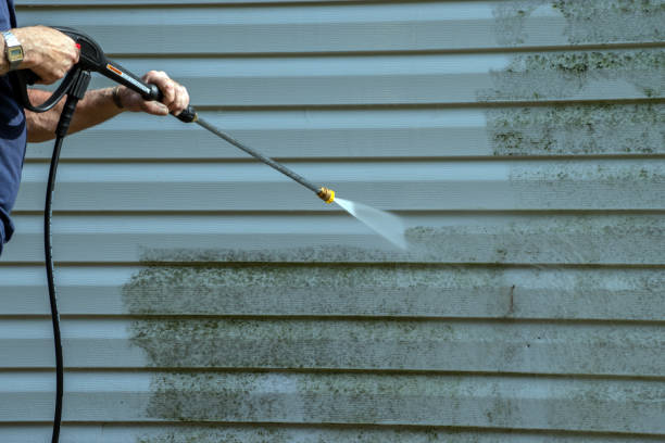 Best Roof Power Washing Services  in Kayenta, AZ