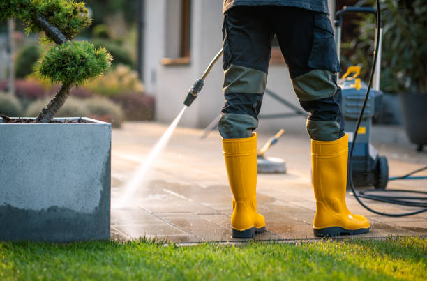 Best Roof Pressure Washing  in Kayenta, AZ